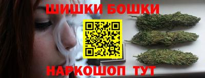 индика Протвино