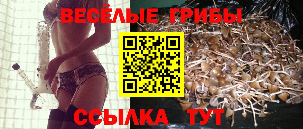 Псилоцибиновые грибы мицелий Воркута