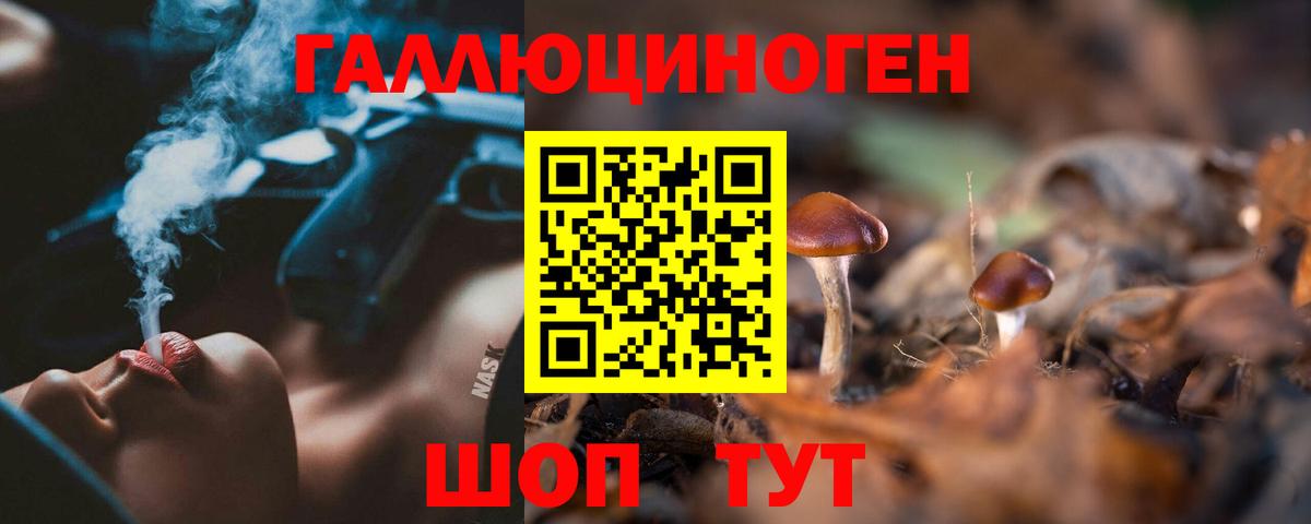 Воркута  Галлюциногенные грибы Cubensis  Галлюциногенные грибы прущие грибы  Вход с VPN 